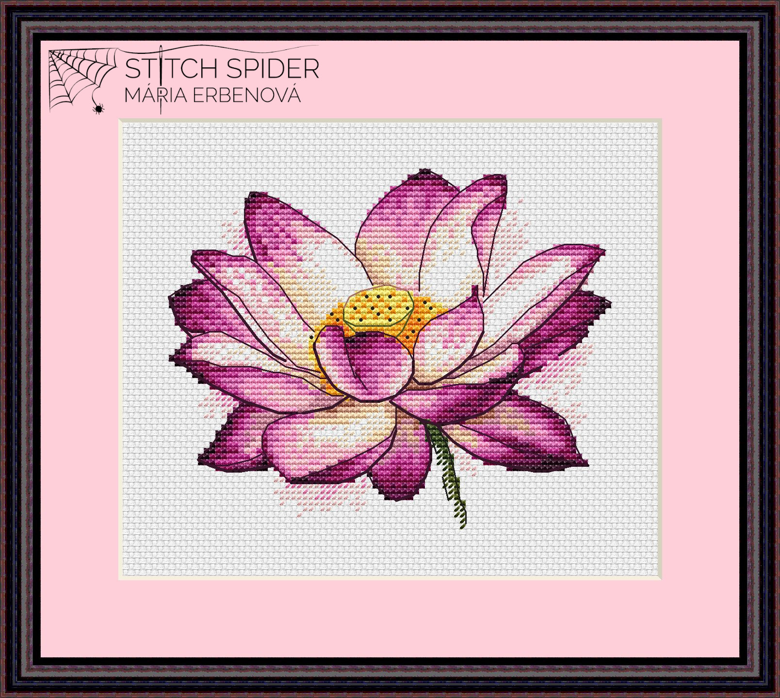 Pink lotus in frame Pink lotus in frame